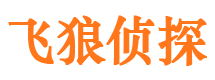 三元市侦探公司